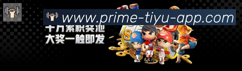 未来规划